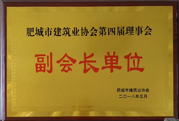 肥城市建筑業(yè)協(xié)會(huì)副會(huì)長(zhǎng)單位